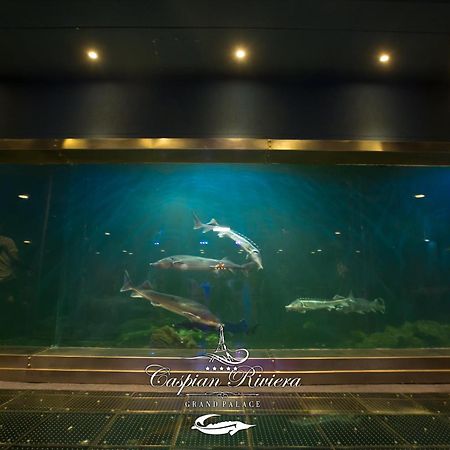 Caspian Riviera Grand Palace Hotel Aktau (Mangystau) Exterior foto Dolphins at the aquarium